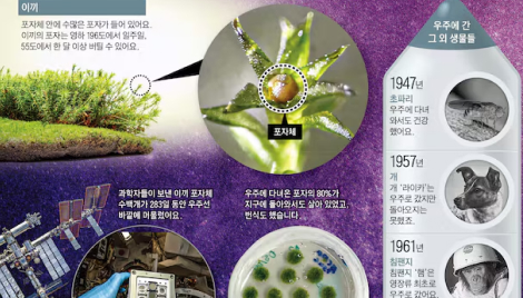 우주서 9개월 버틴 이끼, 지구 돌아와 번식까지…