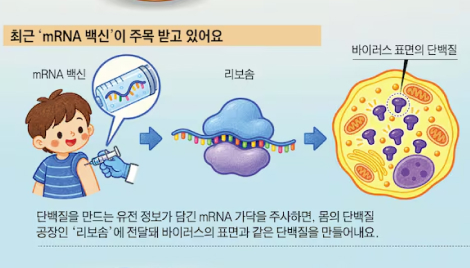 ‘단백질 설계도’ 주입… 변이 대처 빠르대요