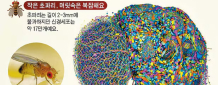 17만 신경세포 연결하자 게임·투자 별난 실험 잇따랐죠