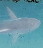 main2_img