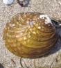 main2_img