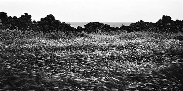 작품2. 배병우, ‘PLT1A-033H’.