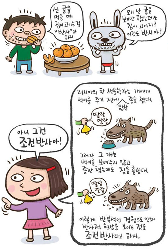 [신문은 선생님] [재미있는 과학] 귤 먹을 때 침 고이면…, 귤 봤을 때 침 고이면…