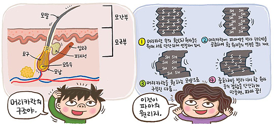 기사 관련 일러스트