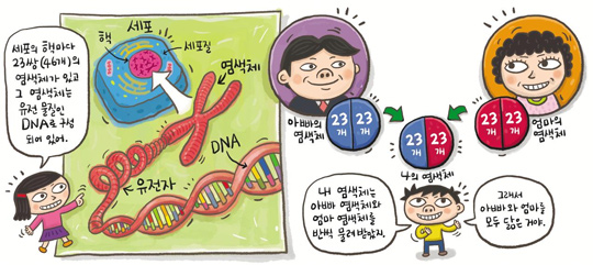 기사 관련 일러스트