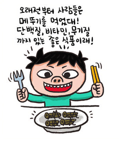 메뚜기 설명 일러스트