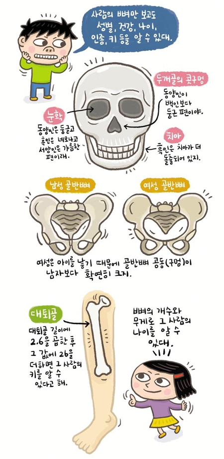 기사 관련 일러스트