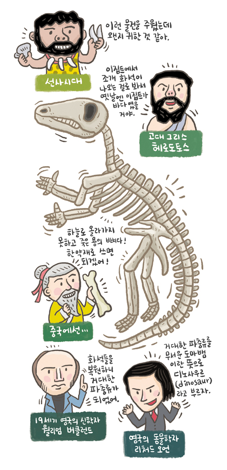화석 일러스트