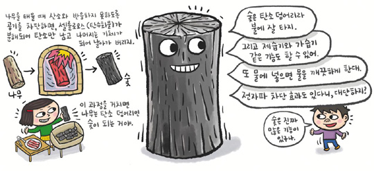 [재미있는 과학] 미세구멍 많은 숯, 습기도 냄새도 빨아들여요