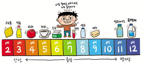 [재미있는 과학] 신맛 나는 귤, 삼키면 알칼리성으로 바뀌어요