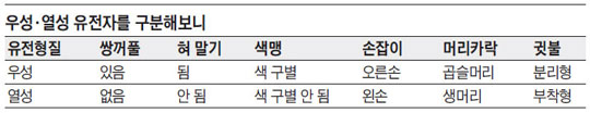 우성·열성 유전자를 구분해보니