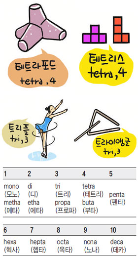 [개념쏙쏙! 수학] 10월 영어 단어에 8 의미하는 'OCTA' 사용한 이유는?