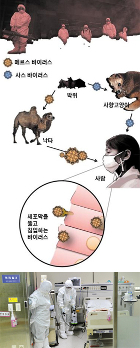 메르스 환자가 퇴원한 음압 격리 병실을 의료진이 소독하고 있어요.