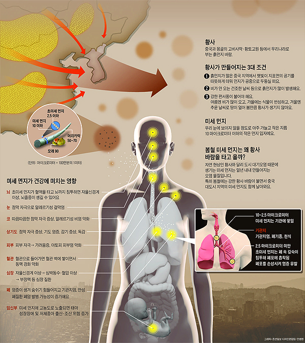 황사와 미세먼지 관련 그래픽