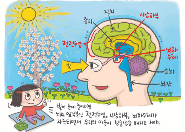 기사 관련 일러스트