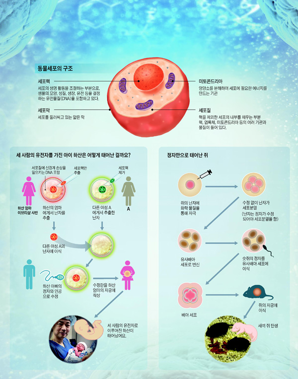 세 사람 유전자 받은 아이, 출생의 비밀은?