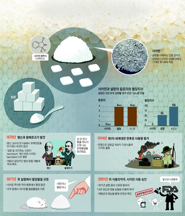 [재미있는 과학] 설탕보다 단맛 300배… '발암물질' 누명 벗었어요