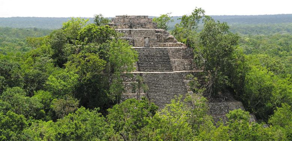 멕시코 캄페체주의 고대 마야 도시는 정글 깊숙한 곳에 있어요. 고(古) 마야 문명 역시 가뭄 때문에 급격히 몰락한 것으로 밝혀졌어요.