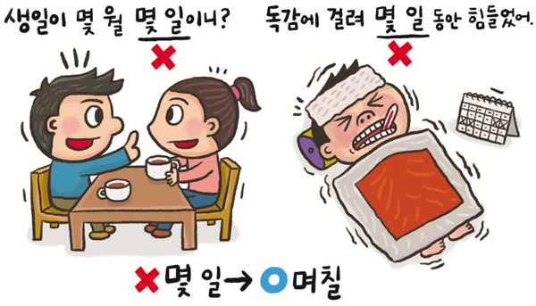 예쁜 말 바른 말 22 몇 일과 며칠 프리미엄조선 