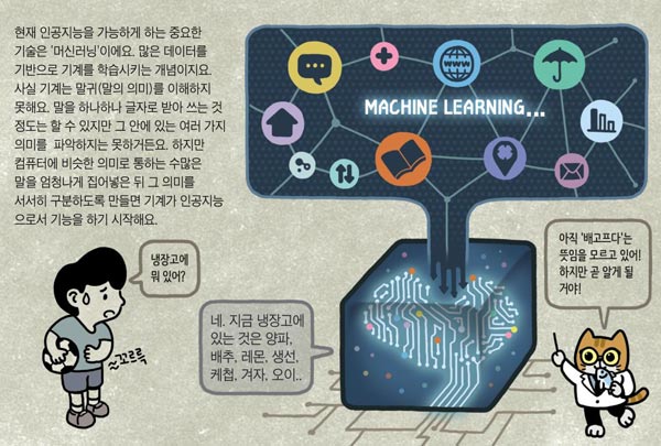 [IT·AI·로봇] 방대한 자료 분석하는 '머신러닝'… 데이터 쌓일수록 똑똑해져요