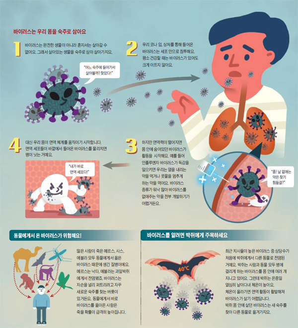 바이러스 설명 그래픽