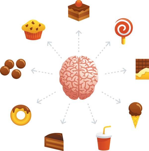 [나해란의 뇌과학 교실] 초콜릿… 한 조각 먹으면 '약', 과하면 '독' 될 수 있어요