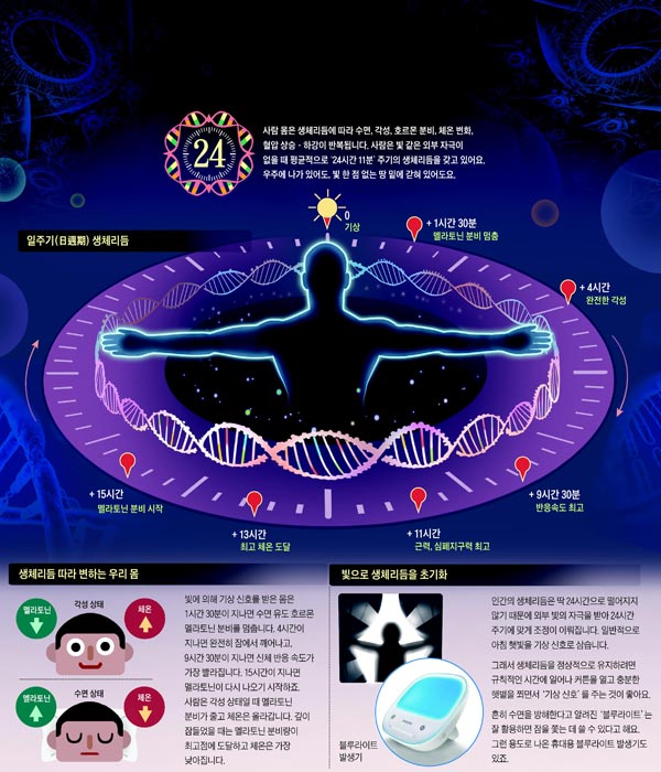 [재미있는 과학] 빛 없어도 우리 몸은 24시간 주기로 수면·각성 반복