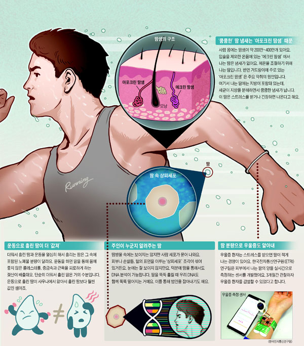 [재미있는 과학] 땀은 '인체정보의 보고'… 배출량 분석해 우울증도 진단