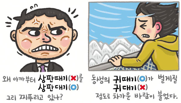 [예쁜 말 바른 말] [104] '상판대기'와 '귀때기'