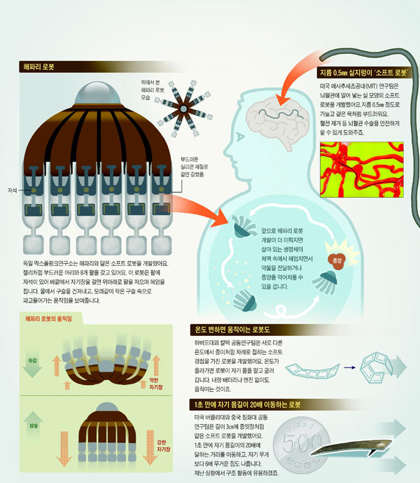 [재미있는 과학] 종양 먹어 치우고 뇌혈관 뚫어주는 '초소형 의사'