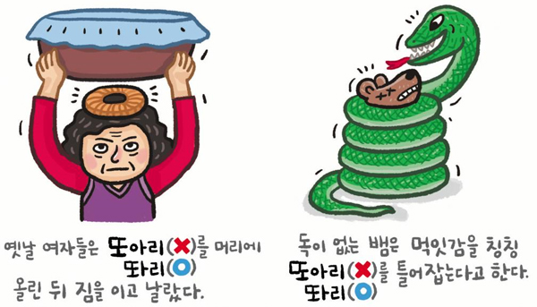 기사 관련 일러스트