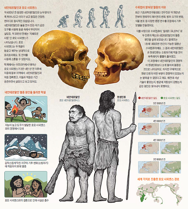 네안데르탈인과 현생인류 정리 그래픽
