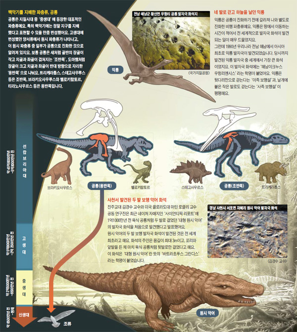 악어 발자국