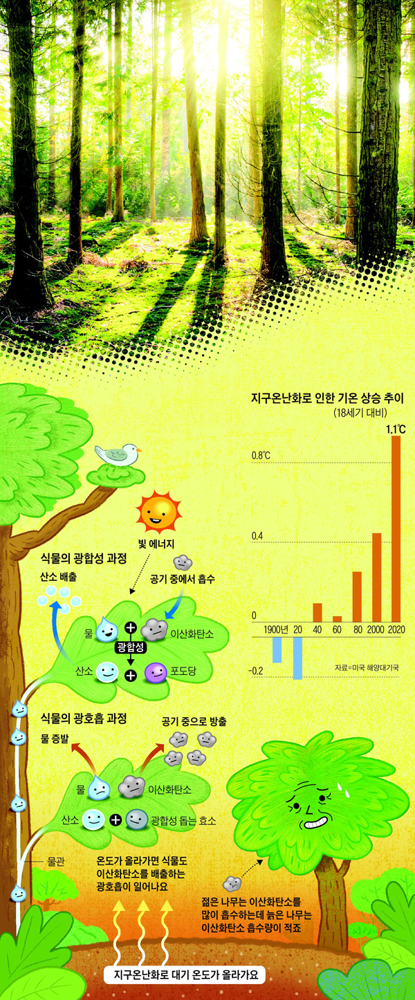  /그래픽=유재일