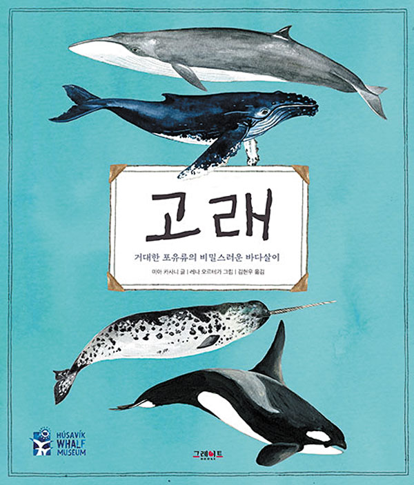 [재밌다, 이 책!] 대왕고래는 입안에 물 90톤 머금고 혹등고래는 '물방울 그물'로 사냥해요