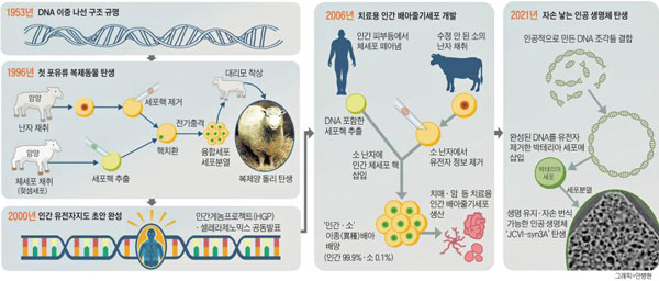 [재미있는 과학] '생명 창조' 위한 끝없는 도전… '신의 영역'에 다가가요