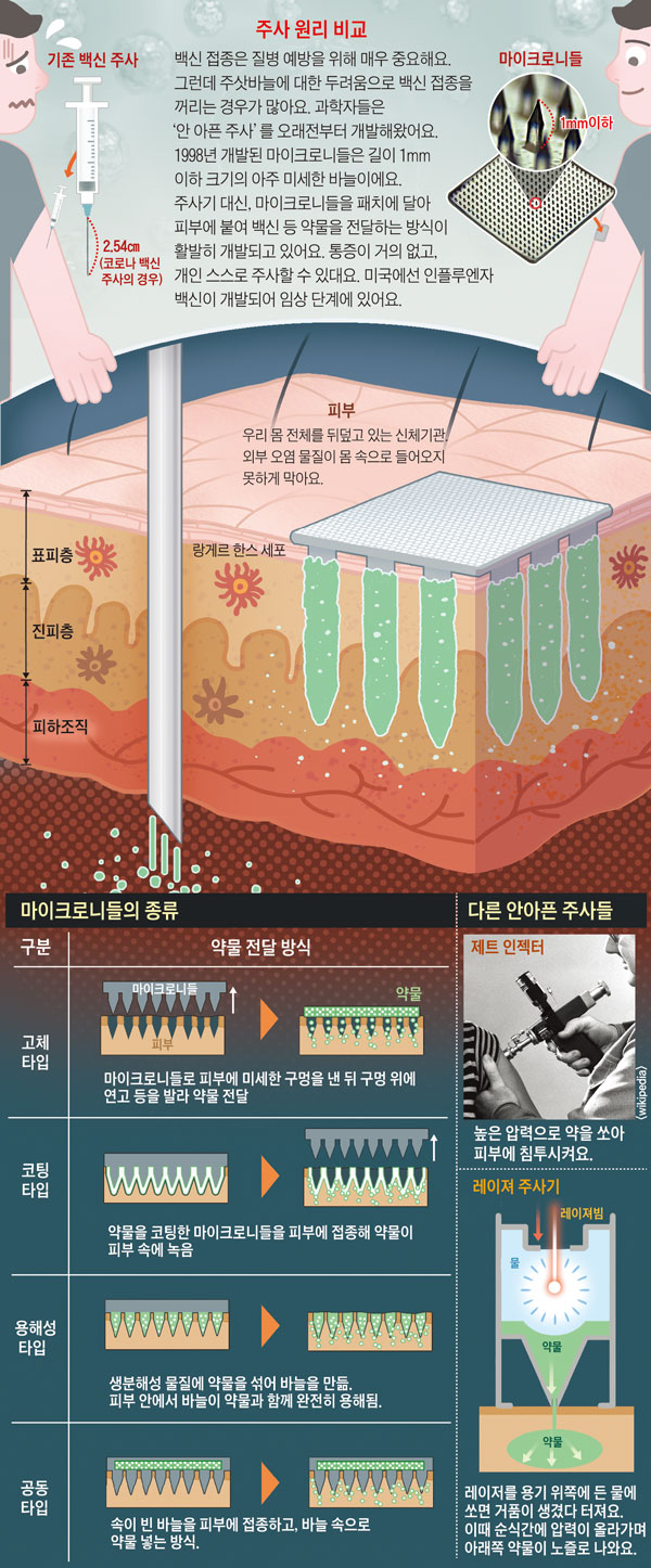  /그래픽=안병현