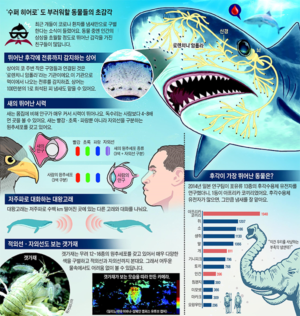 /그래픽=안병현