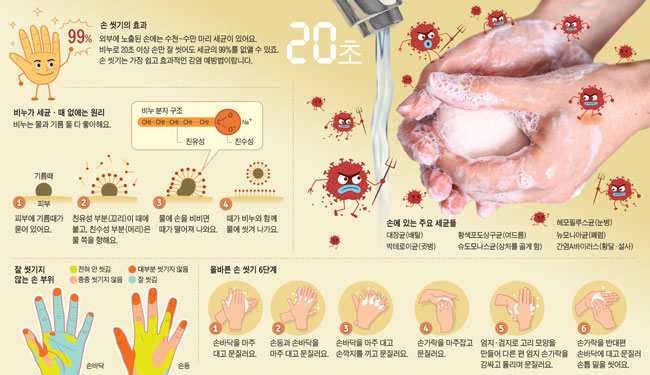 [재미있는 과학] '빠르게, 빡빡, 20초 이상' 비벼야 세균 없어져요