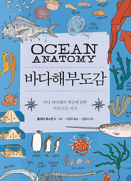 [재밌다, 이 책!] 바다 친구들의 보금자리 '다시마' 매일 30㎝씩 자라 성게 먹이 된대요