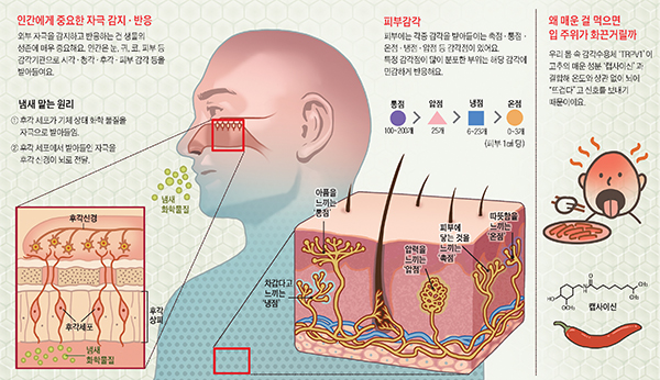 /그래픽=안병현