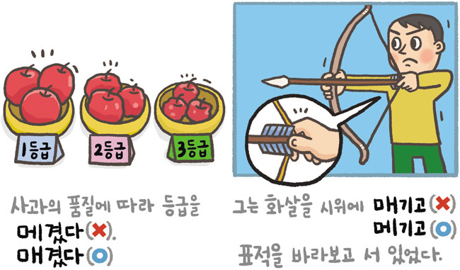 [예쁜 말 바른 말] [221] '매기다'와 '메기다'