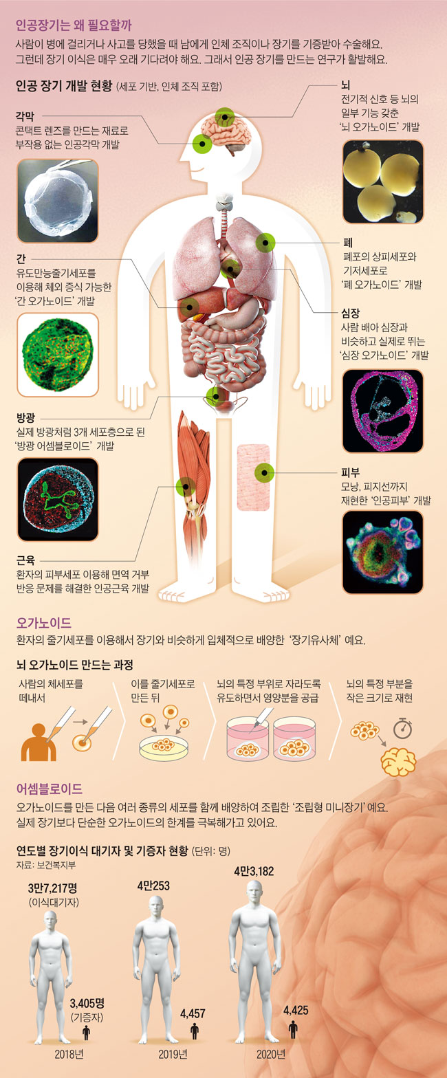 /그래픽=유재일