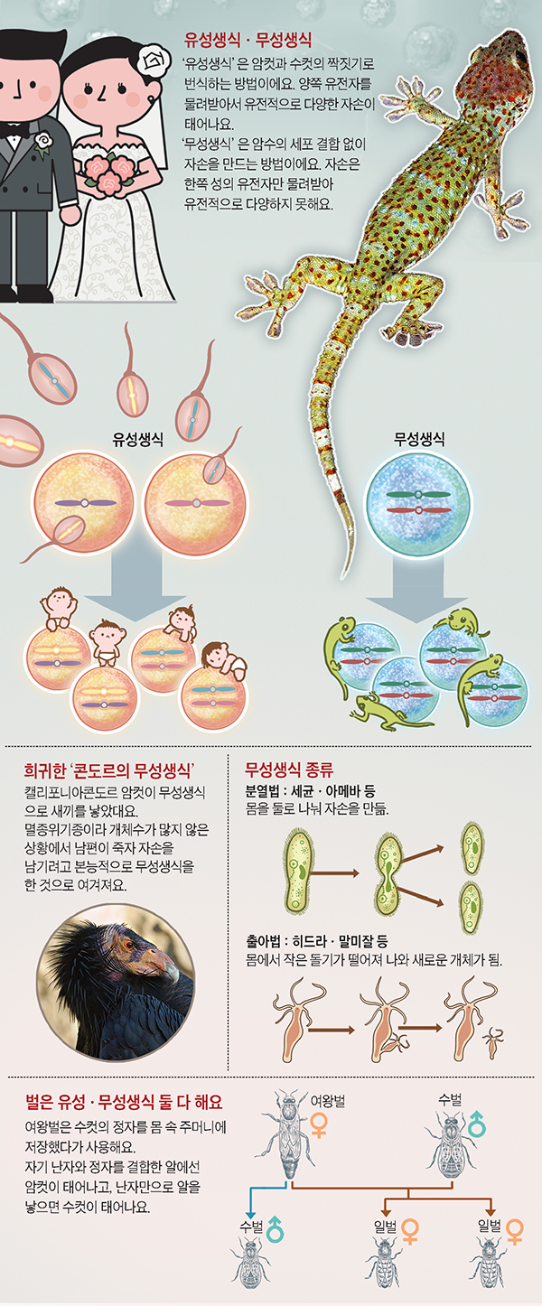 /그래픽=안병현