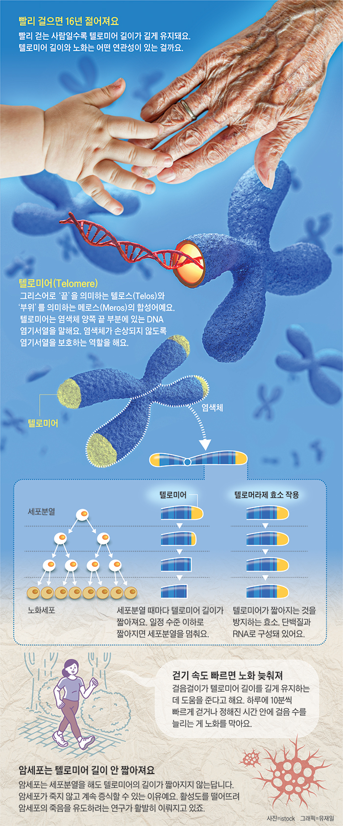 [재미있는 과학] 빠르게 걸을수록 노화를 늦출 수 있대요