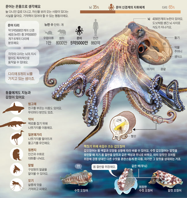 /그래픽=유재일