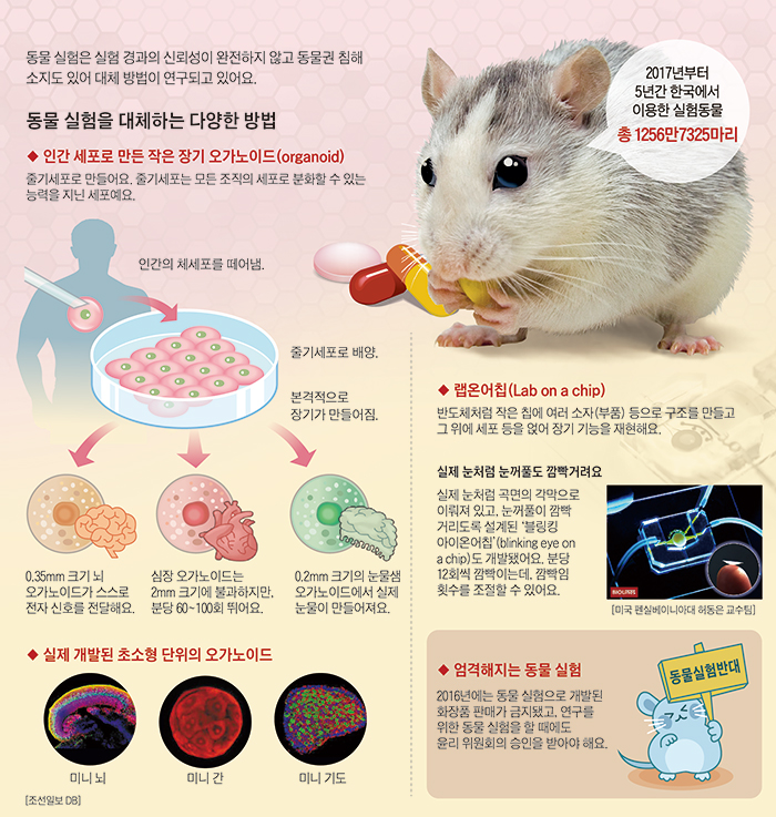 /그래픽=진봉기