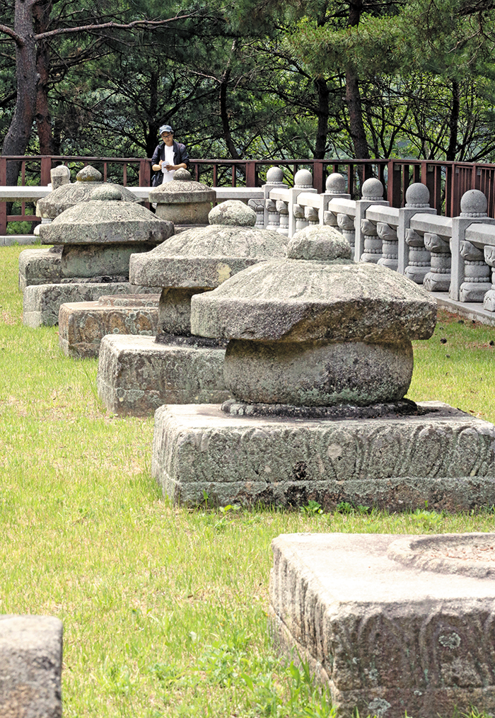 경북 성주군의 세종대왕자 태실(胎室). 세종대왕자 태실에는 세종대왕의 왕자 18명의 태실과 단종의 태실 등 모두 19기의 태실이 모여있어요. /남강호 기자