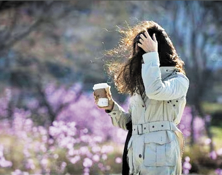 봄꽃이 필 무렵 매서운 바람이 몰아치며 기온이 뚝 떨어지는 걸 ‘꽃샘추위’라고 하죠. 꽃샘추위 기간에는 옷을 든든하게 입고 비타민 A·C가 함유된 식품을 섭취해 주세요.