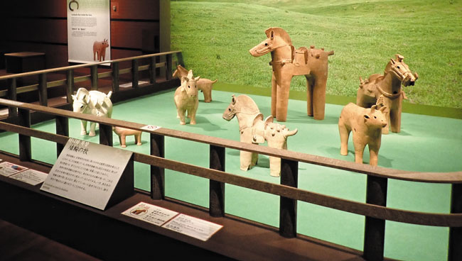일본에서는 한반도의 영향을 받아 말을 타기 시작했고, 고분 주변에도 말 모양 흙인형을 세우게 됐는데, 이 인형들을 모아 전시한 모습. /규슈국립박물관